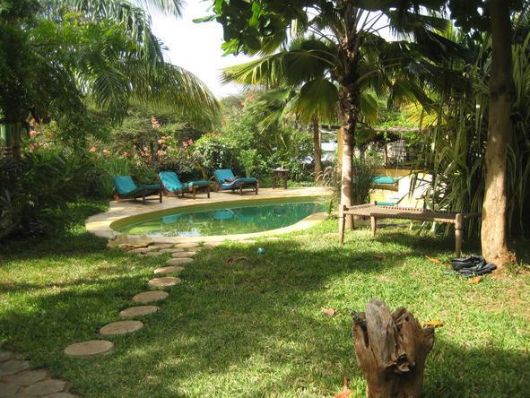 Banana House - Pool 